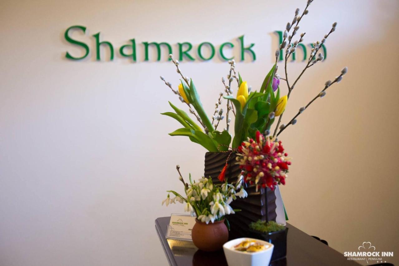 Shamrock Inn Iasi Exterior foto